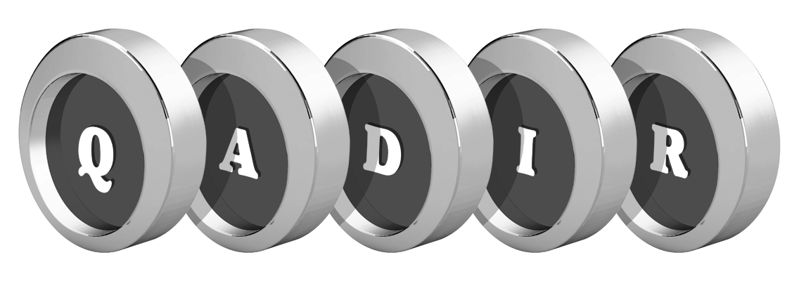 Qadir coins logo