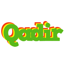 Qadir crocodile logo