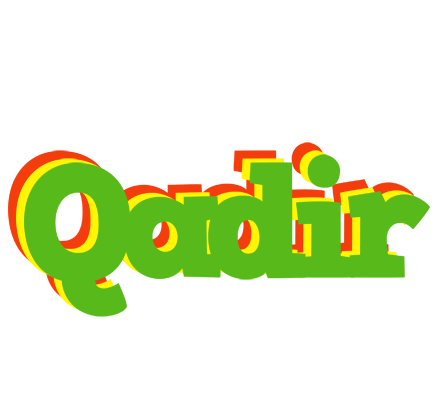 Qadir crocodile logo