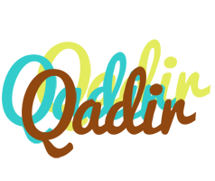 Qadir cupcake logo