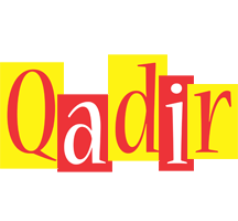 Qadir errors logo