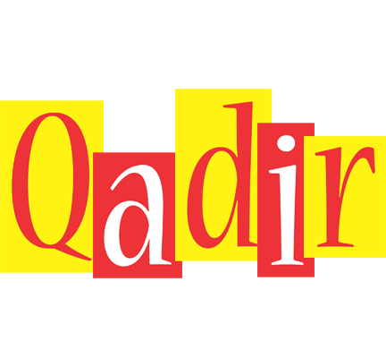 Qadir errors logo