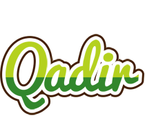 Qadir golfing logo