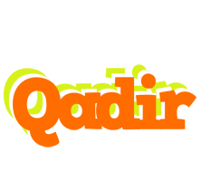 Qadir healthy logo