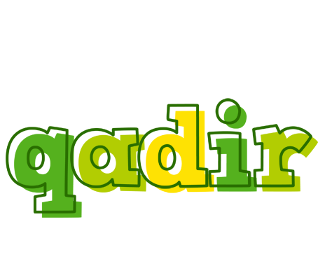 Qadir juice logo