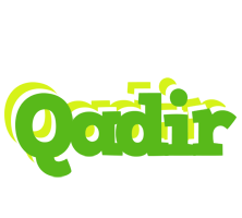 Qadir picnic logo