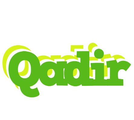 Qadir picnic logo