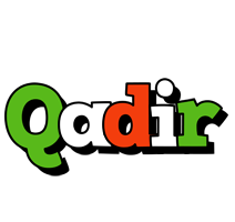 Qadir venezia logo