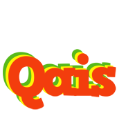 Qais bbq logo