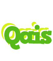 Qais picnic logo