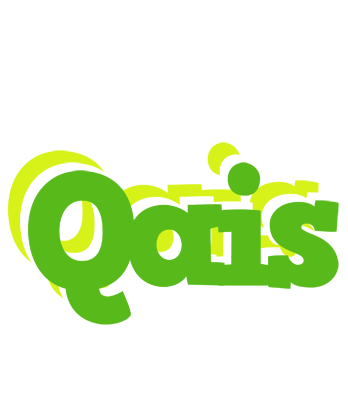 Qais picnic logo