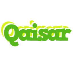 Qaisar picnic logo