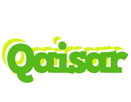 Qaisar picnic logo