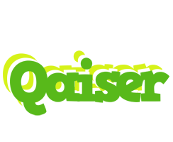 Qaiser picnic logo