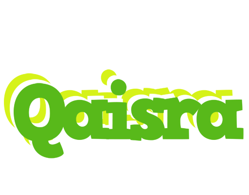 Qaisra picnic logo