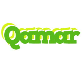 Qamar picnic logo