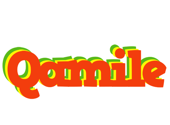 Qamile bbq logo