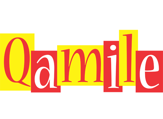Qamile errors logo