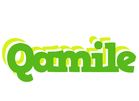 Qamile picnic logo