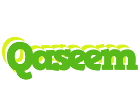 Qaseem picnic logo