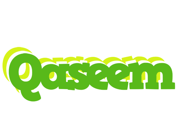 Qaseem picnic logo