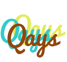 Qays cupcake logo