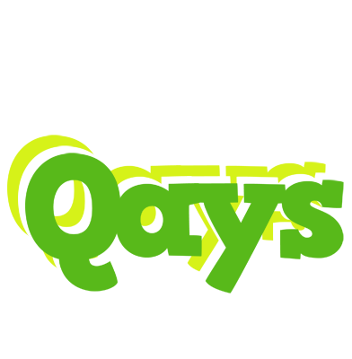 Qays picnic logo
