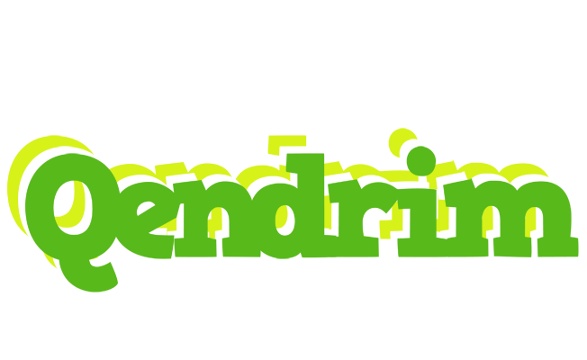 Qendrim picnic logo