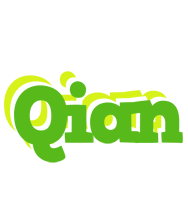 Qian picnic logo