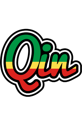 Qin african logo