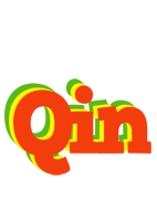 Qin bbq logo