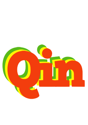 Qin bbq logo
