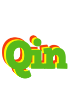 Qin crocodile logo