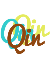 Qin cupcake logo