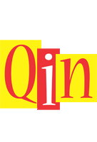 Qin errors logo