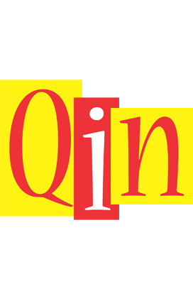 Qin errors logo