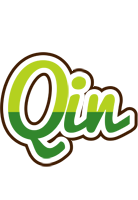 Qin golfing logo