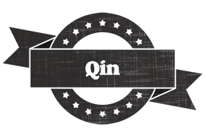 Qin grunge logo