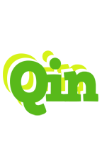 Qin picnic logo