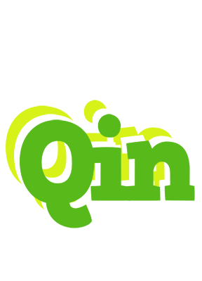 Qin picnic logo