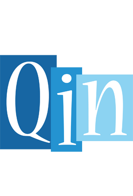 Qin winter logo