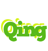 Qing picnic logo