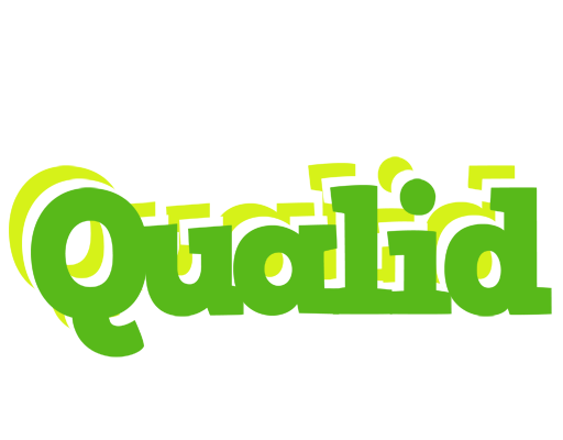 Qualid picnic logo