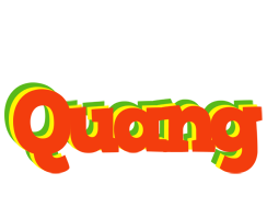 Quang bbq logo