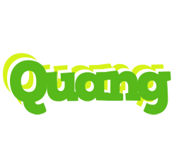 Quang picnic logo