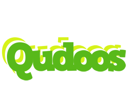 Qudoos picnic logo