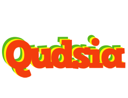 Qudsia bbq logo