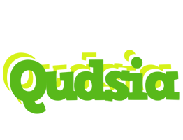 Qudsia picnic logo