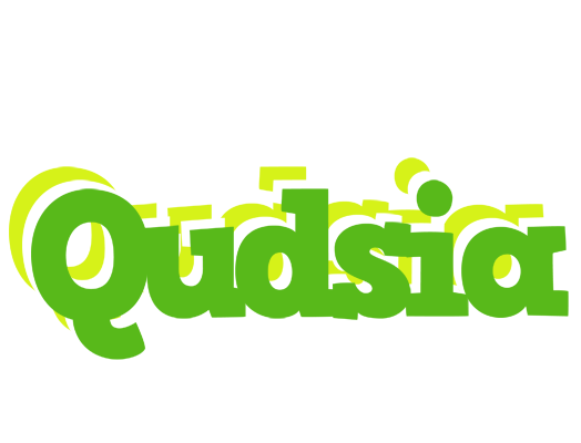 Qudsia picnic logo