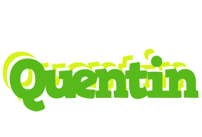 Quentin picnic logo